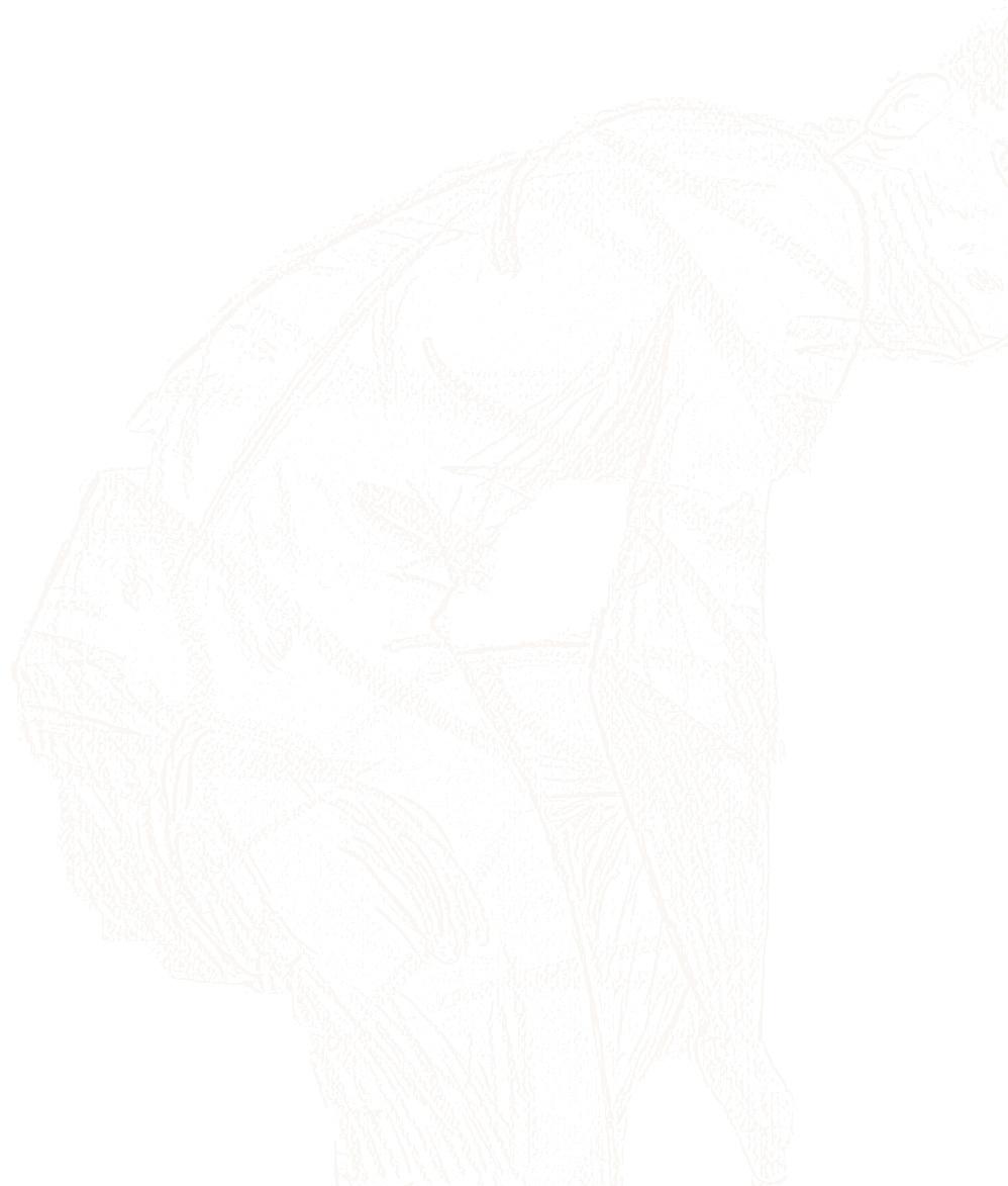 Fine paper-white lines derived from Simon’s bent self-portrait. Face and lower legs end where the original drawing ends.